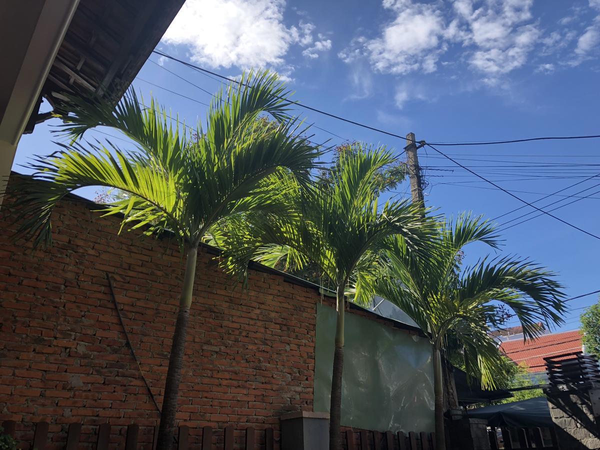 Three Palms Homestay Hội An Kültér fotó